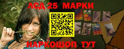 стаф Абакан