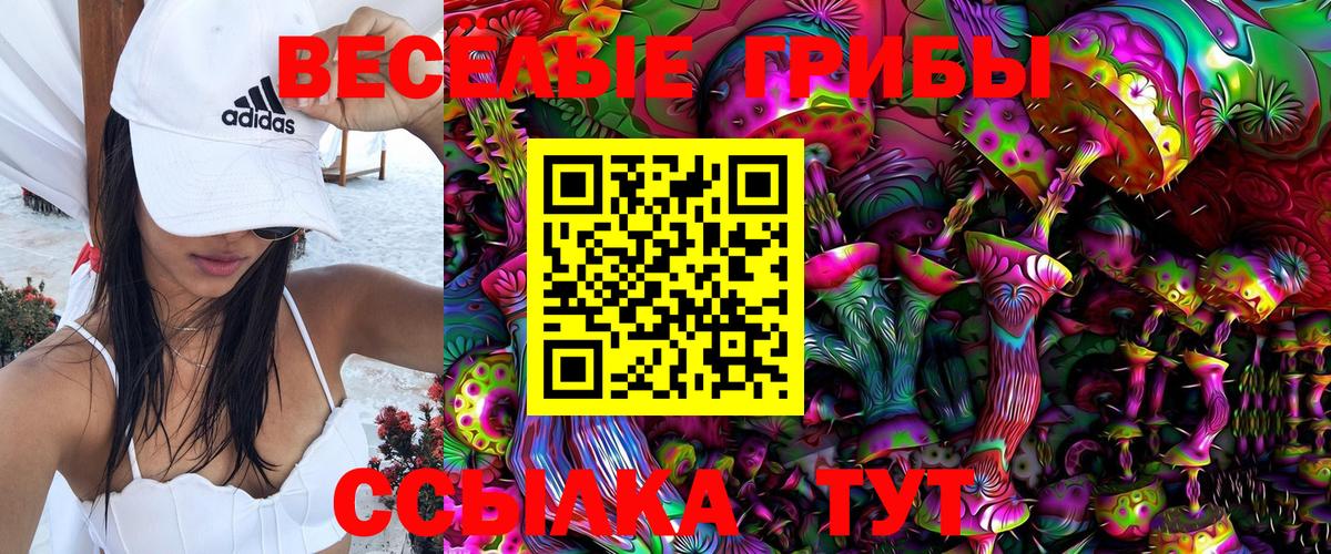 Алексин  Галлюциногенные грибы Cubensis  Псилоцибиновые грибы мицелий  Вход с VPN 