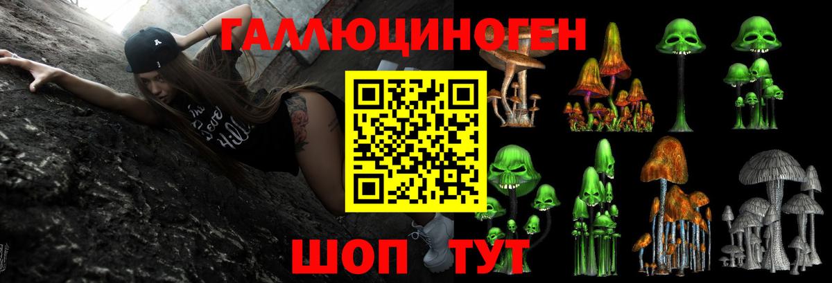 Псилоцибиновые грибы прущие грибы  Псилоцибиновые грибы Psilocybe  Алексин 